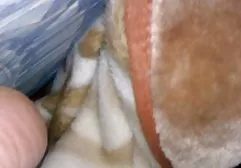 فقط سكس عربي موت