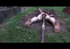 عيون سكس عربي مباشر