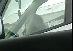 لذلك صور سكس عربي منتديات نسوانجي